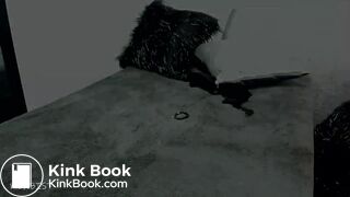 whoopsie 2