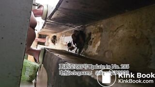 Beautiful girl poops in the toilet 73