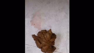 Latina squat and poo
