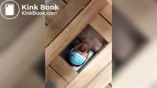 Lucky toilet slave eat Chinese slut shit 4