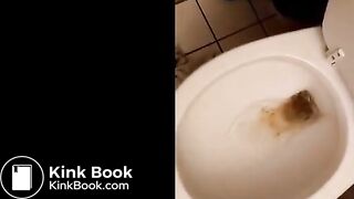 Mufasa Sister poops on toilet - video 2