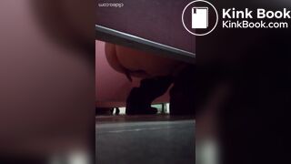 Chinese Public Scat 1