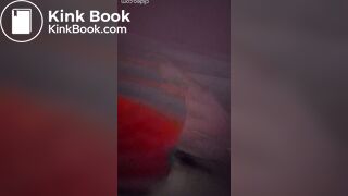 Chinese Public Scat 1