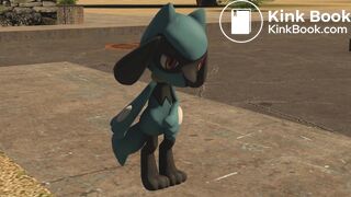 Riolu tries ot keep holding it