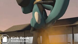 Riolu tries ot keep holding it