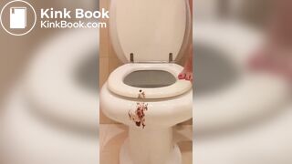 Scat games in the toilet from blonde slut