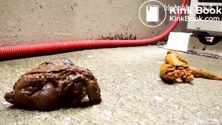 She shit a little in her panty at the alleyway [EE*069]