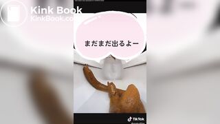 Japanese Women Stomach Stuffing Fart & Pooping