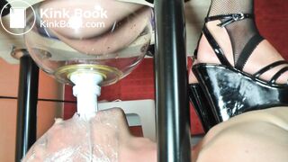 femdom scat, human toilet