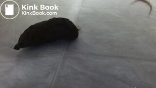 Holding my poop ALL DAY