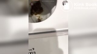 japanese scat - video 128