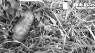 Girl pooping outside - video 2