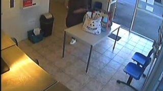 Caught pooping - video 2