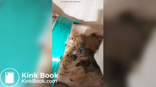 korean femdom scat-
