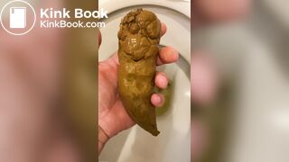 got a thick, smelly turd out of the toilet