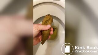 got a thick, smelly turd out of the toilet