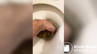 got a thick, smelly turd out of the toilet