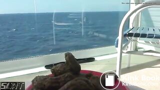 She prepare a nice breakfast for you