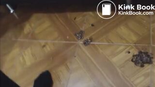 Lesbian scat pvt show