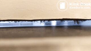 University housemate diarrhea