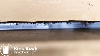 University housemate diarrhea