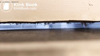 University housemate diarrhea