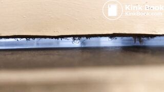 University housemate diarrhea