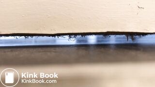 University housemate diarrhea