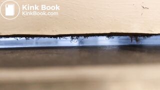 University housemate diarrhea