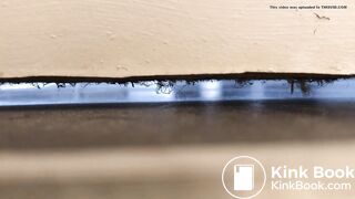 University housemate diarrhea