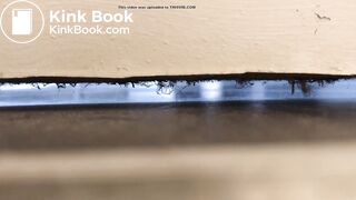 University housemate diarrhea