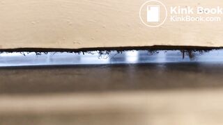 University housemate diarrhea