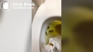 "AWFUL" Public Bathroom Poop