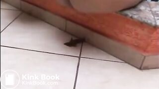 6 girls pooping at the same time