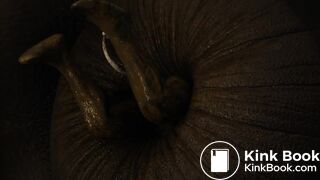 Horse anal vore - video 5