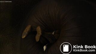 Horse anal vore - video 5