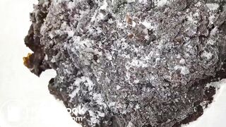 Completely covered in shit part 1