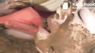 Japanese old scat video