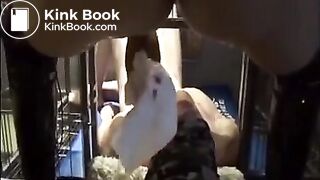 Chinese femdom scat 109 笼子里的男奴被喂食大便