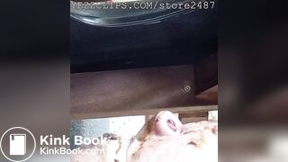 She fed him huge pile of shit