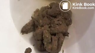 Girl takes reverse toilet dump