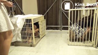 scat femdom - video 61