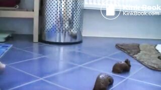 Sexy Girl Shits All Over Her Ass and Floor