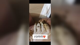 Korean femdom scat - video 17