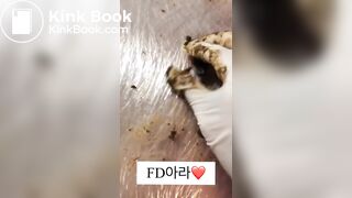 Korean femdom scat - video 17