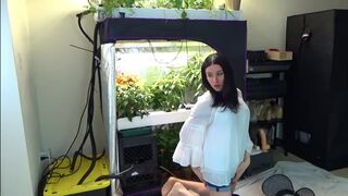 Fall Harvest _ pantypoop