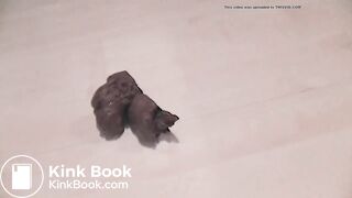 Close Up of a Thick Turd
