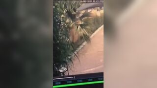 Woman desperate poop cctv