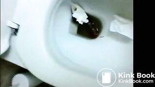Brunette poops in public toilet