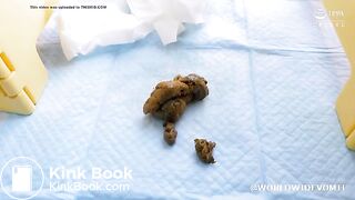 I Want To Be A Shitting And Pissing Girl.